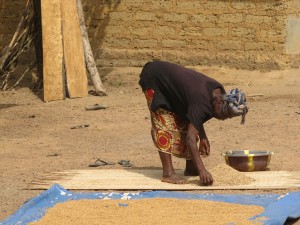 Mujer secando arroz en Farekoro